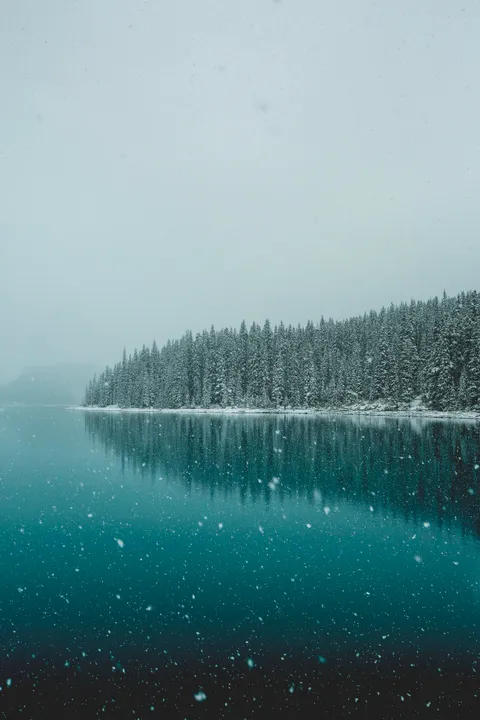 Starting my NY2019 Resolution Early by Taking More Pictures. Banff, Canada [OC] [2500x3750]