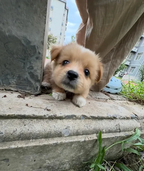 Mom, can I eat grass?🥰