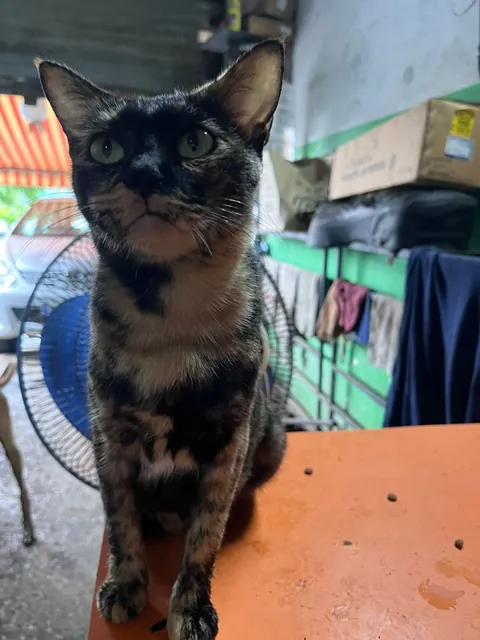 People asked for more photos of garage employees!