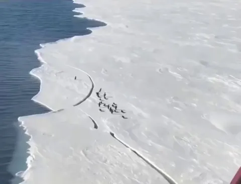 Jump Michael! Jump!!