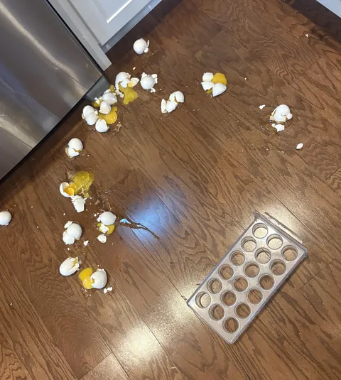 How’s your morning? Mine is egg-cellent