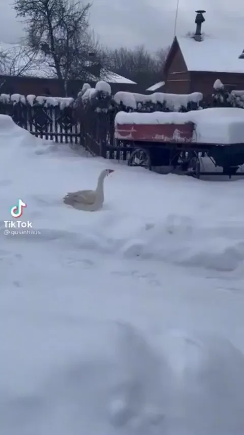 So good to see you grandma!