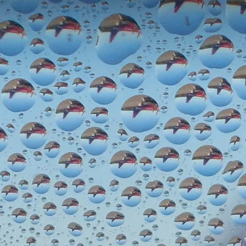 Water droplets on a plane window