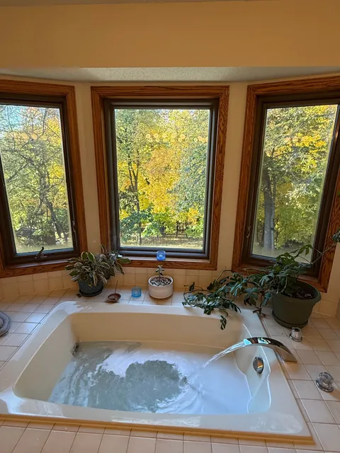 Peak leaf season baths in MN were wonderful this year. Pay the cat tax!
