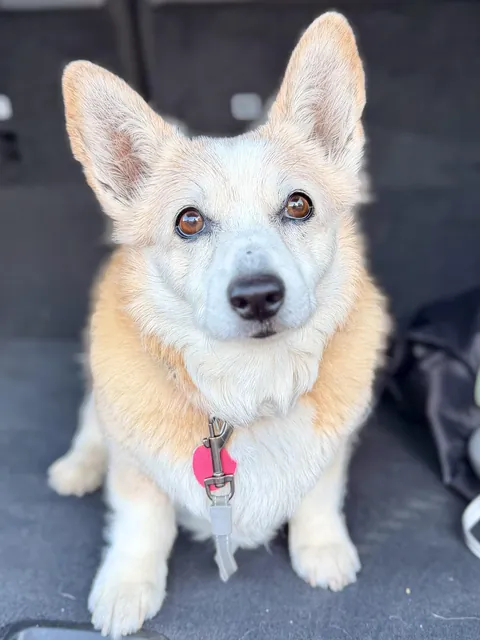 The best old gal. She’s my sister and she’s 17. SEVENTEEN!