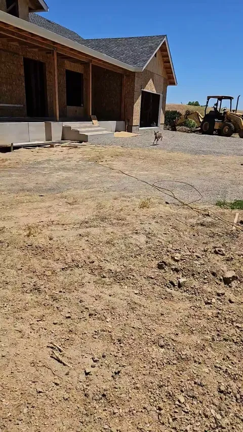 I got charged by this vicious beast yesterday.