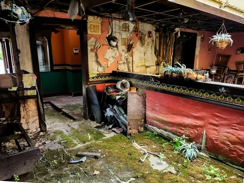 Mexican restaurant that closed just before COVID covered with flora