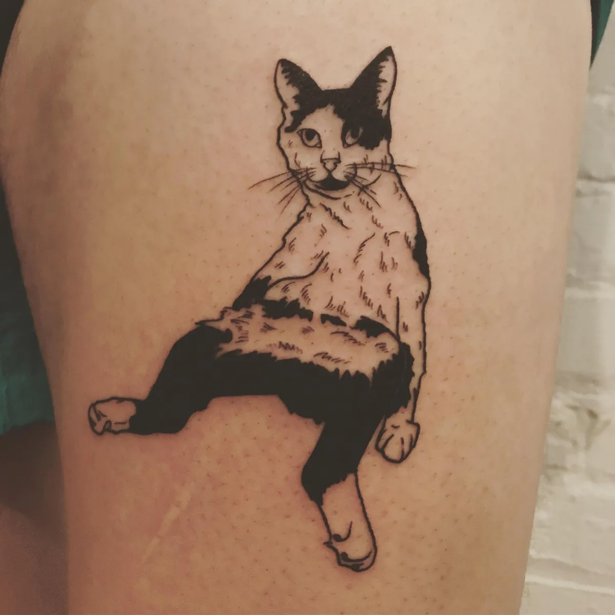 Got my boy Bones immortalized. Done by the wonderful Cate Webb at Black Cat tattoo, Victoria BC.