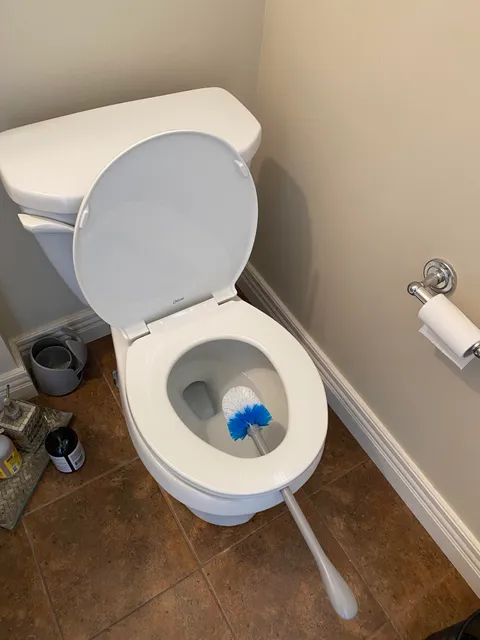 Hack for drying the Toilet brush