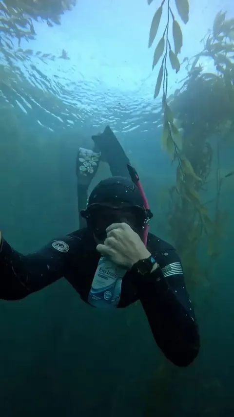 🔥 A curious harbor seal checking out a diver