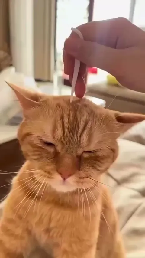 The way he's nodding his head 😭