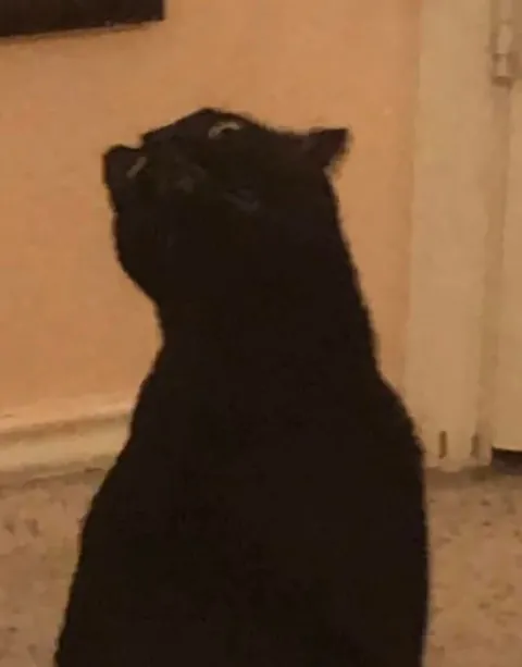 Stuart screams into nothingness, per usual.