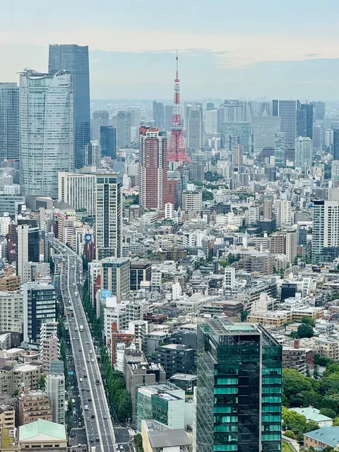 My thoughts after 2 weeks in Japan (Tokyo, Kyoto, Osaka)