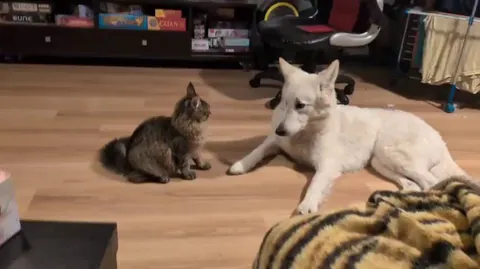 Size doesn't matter to them