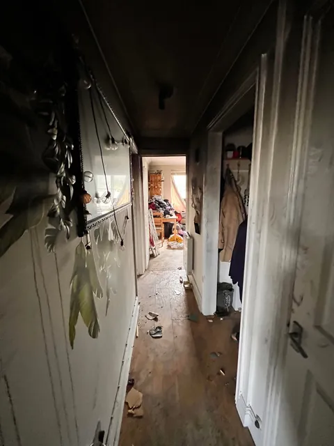 2 months today since my void was rescued from a fire in my apartment