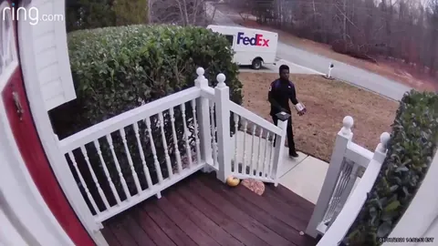 Know what sucks even more though? That package belonged to a FedEx manager.