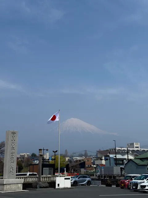 15 days solo trip to Japan. March- April 2025.