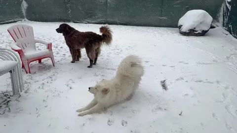 Guess who woke up to the best day ever