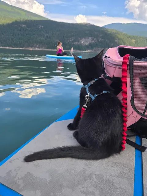 Kat's first adventure