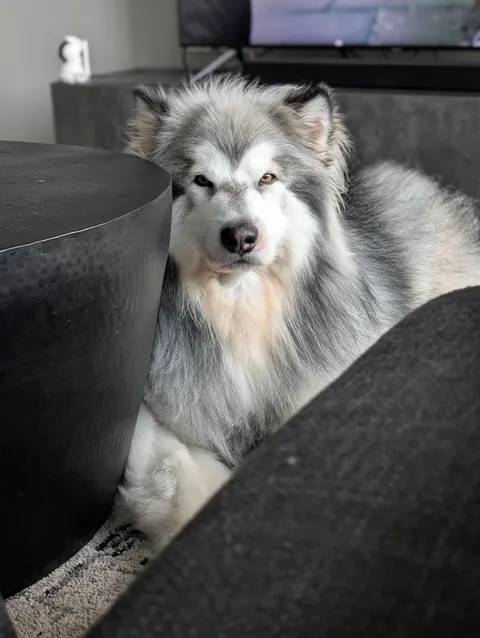 Unamused. Unimpressed. 😐