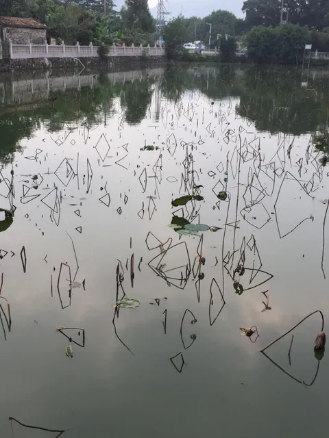 The reflection of these sticks make interesting shapes.