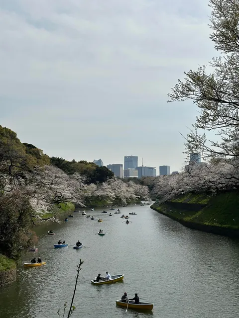 15 days solo trip to Japan. March- April 2025.