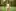 Nika, photoset: Park