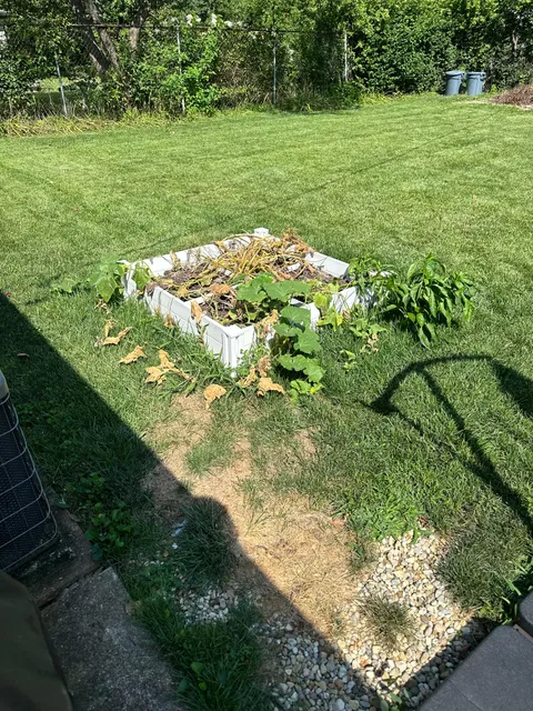 Left my garden in the care of my adult son for a week and a half and came home to this. What now?