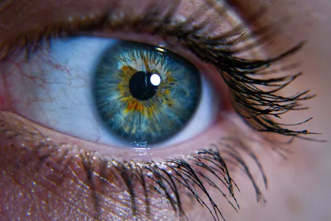 I attempted macrophotography (my own eye)