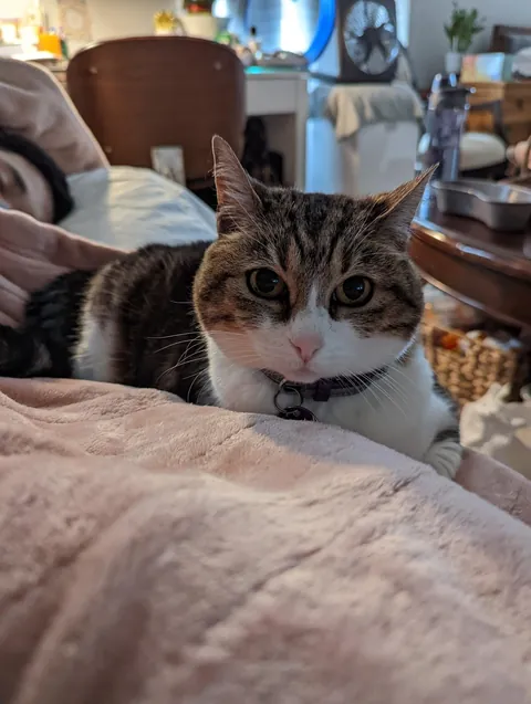 My Best Friend Sarah