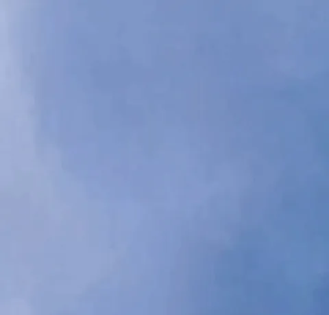 Peregrine falcon in hunting dive ("stoop") strikes a pigeon. Peregrine falcons are the fastest bird alive, reaching speeds up to 240 mph (386 km/h) in a stoop, often killing their prey instantly