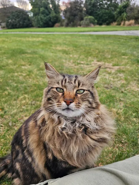 Met this kitty two days ago and we're already besties