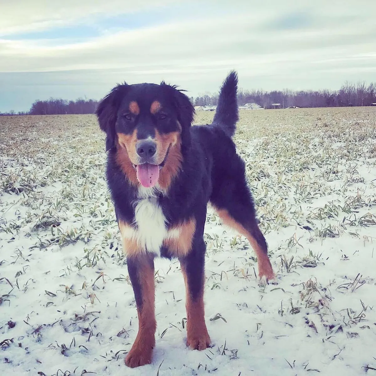 6 years later and we have a wise older brother in the making. ❤️🥰