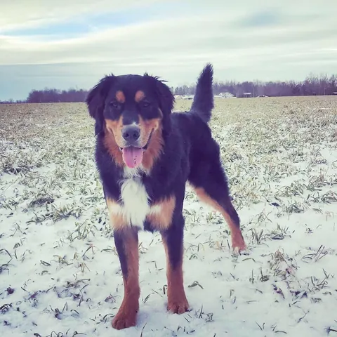 6 years later and we have a wise older brother in the making. ❤️🥰