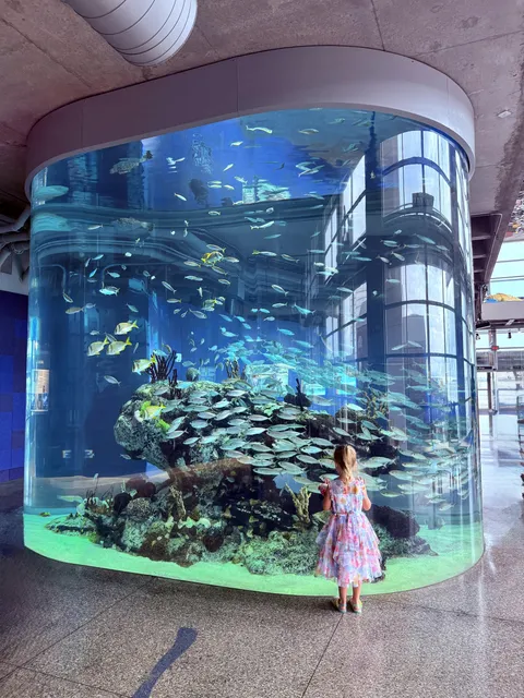 Took this photo of my daughter on Father’s Day at the aquarium last weekend.