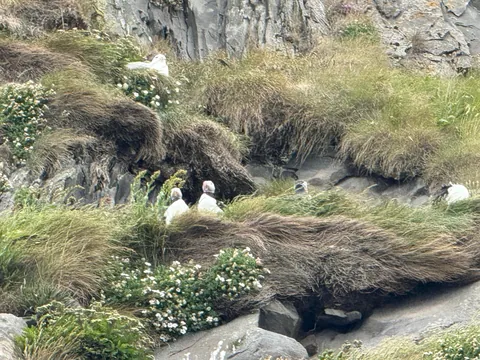 Visiting Iceland for a second time