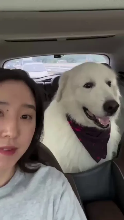 Did you just bark at me? 🐶