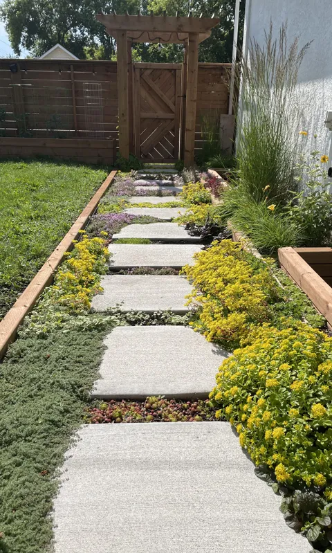 Our Ground Cover-Planted Pathway: What Do You Think?