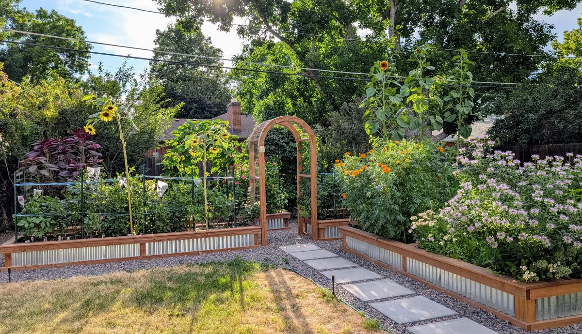 Three years ago I replaced my lawn with garden beds to cope with chronic illness and depression. What started as a hobby has grown into a small flower farm and a brighter chapter in my life.