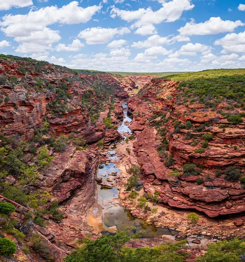 2 1/2 weeks in Western Australia