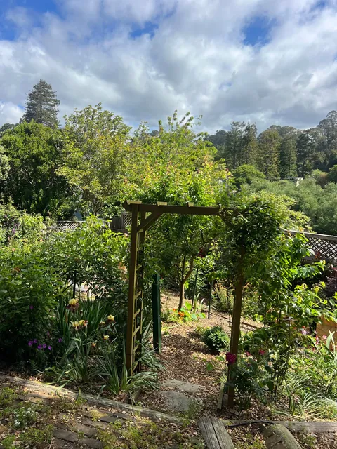 If you love your garden, it’ll love you back (Pt 2)