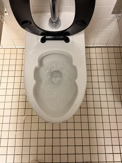 My college bathroom seats look like LeBron’s head
