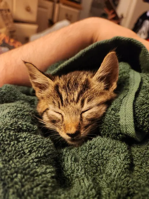 Rescued about 2 hours ago