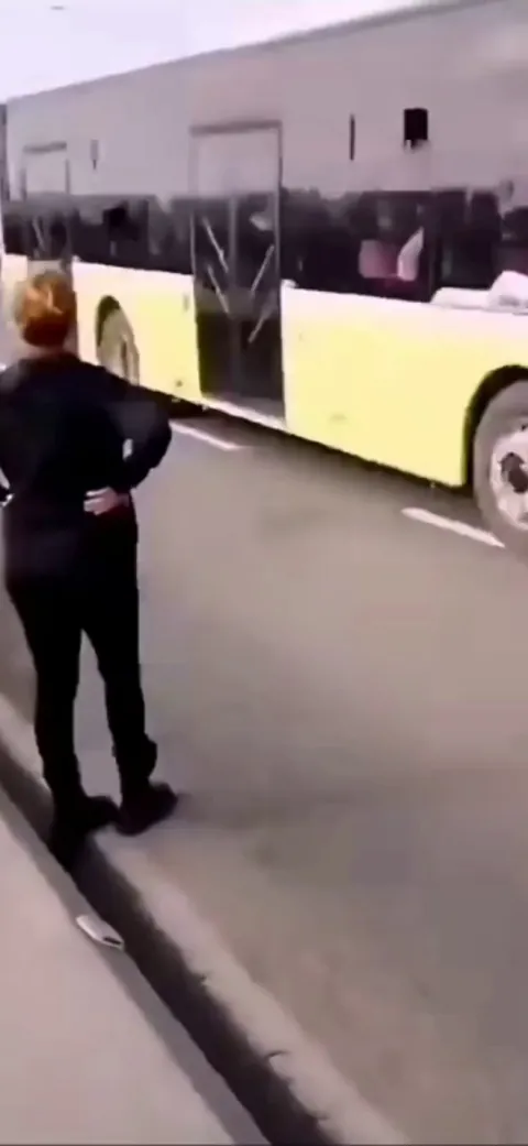 Woman in Istanbul stops traffic to save kitten.