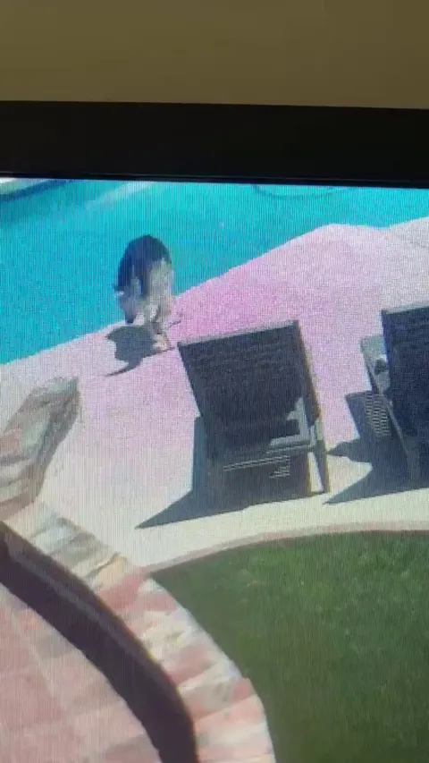 Glad I have cameras to capture moments like these