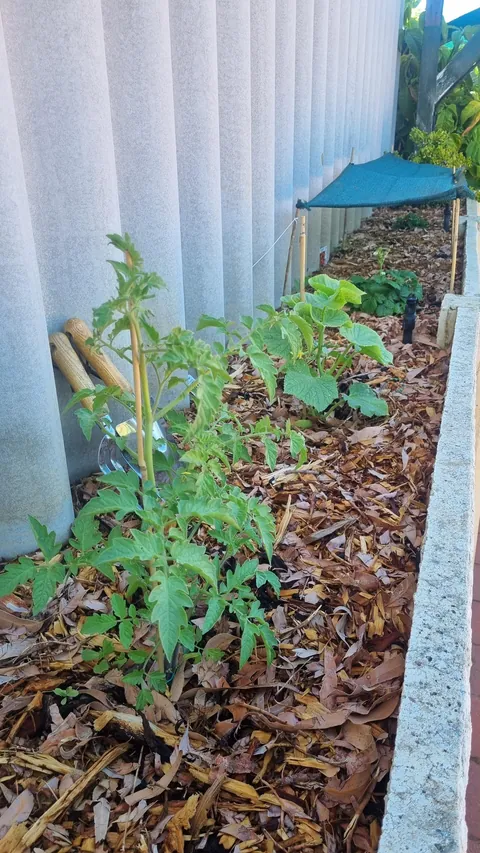 How it started vs how it's going