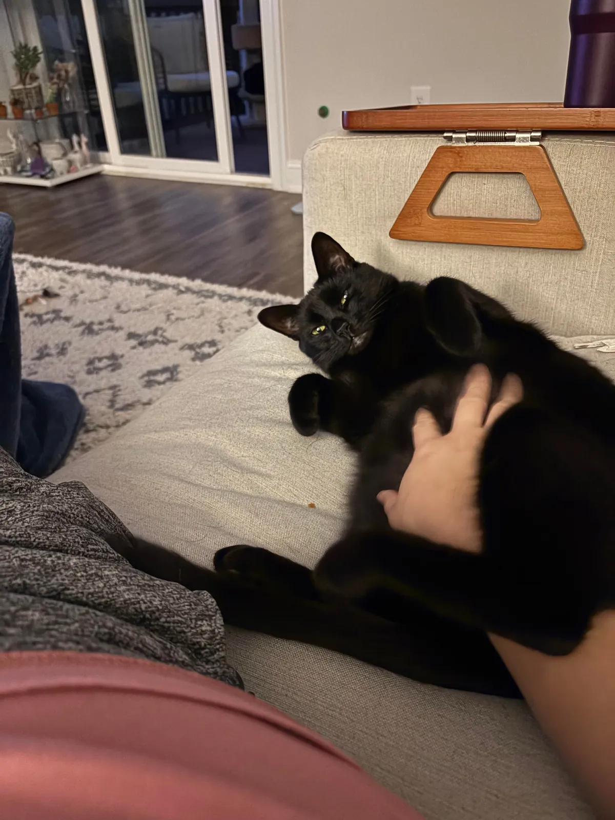 Oh to be a little void getting belly rubs on demand