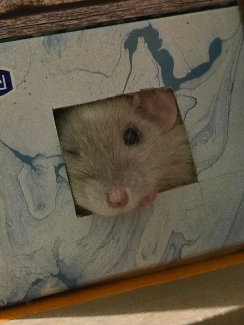 WHY IS JIMILY SO PHOTOGENIC