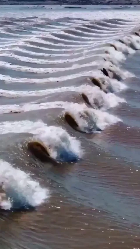 The 'Dragon Eye' Wave in China: A Tidal Bore That Reverses a River’s Flow!