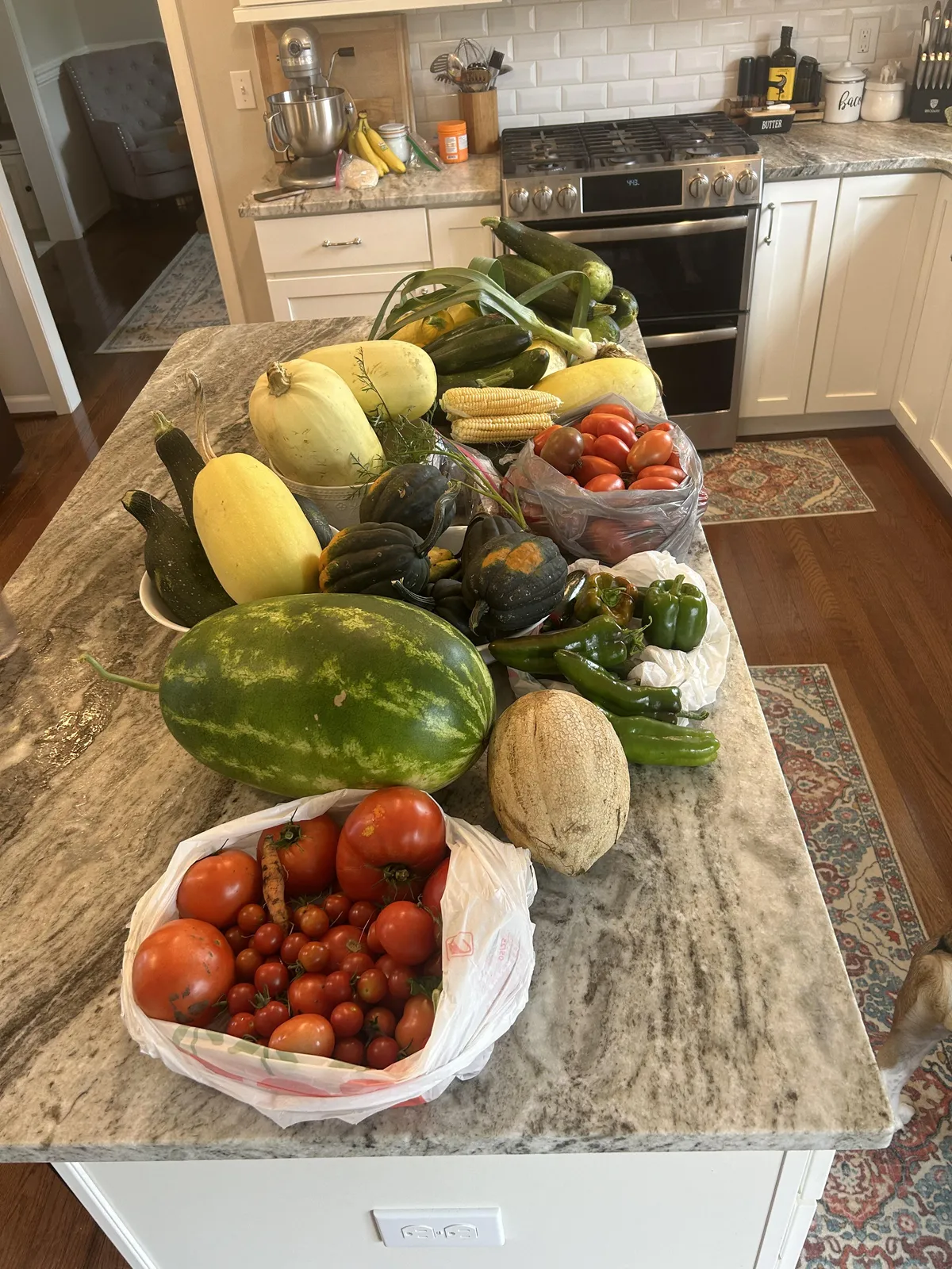 Things got out of hand